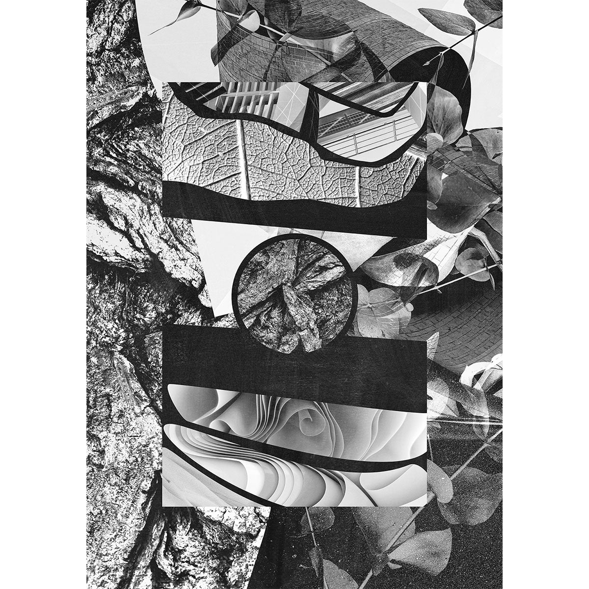 Nature in Structure