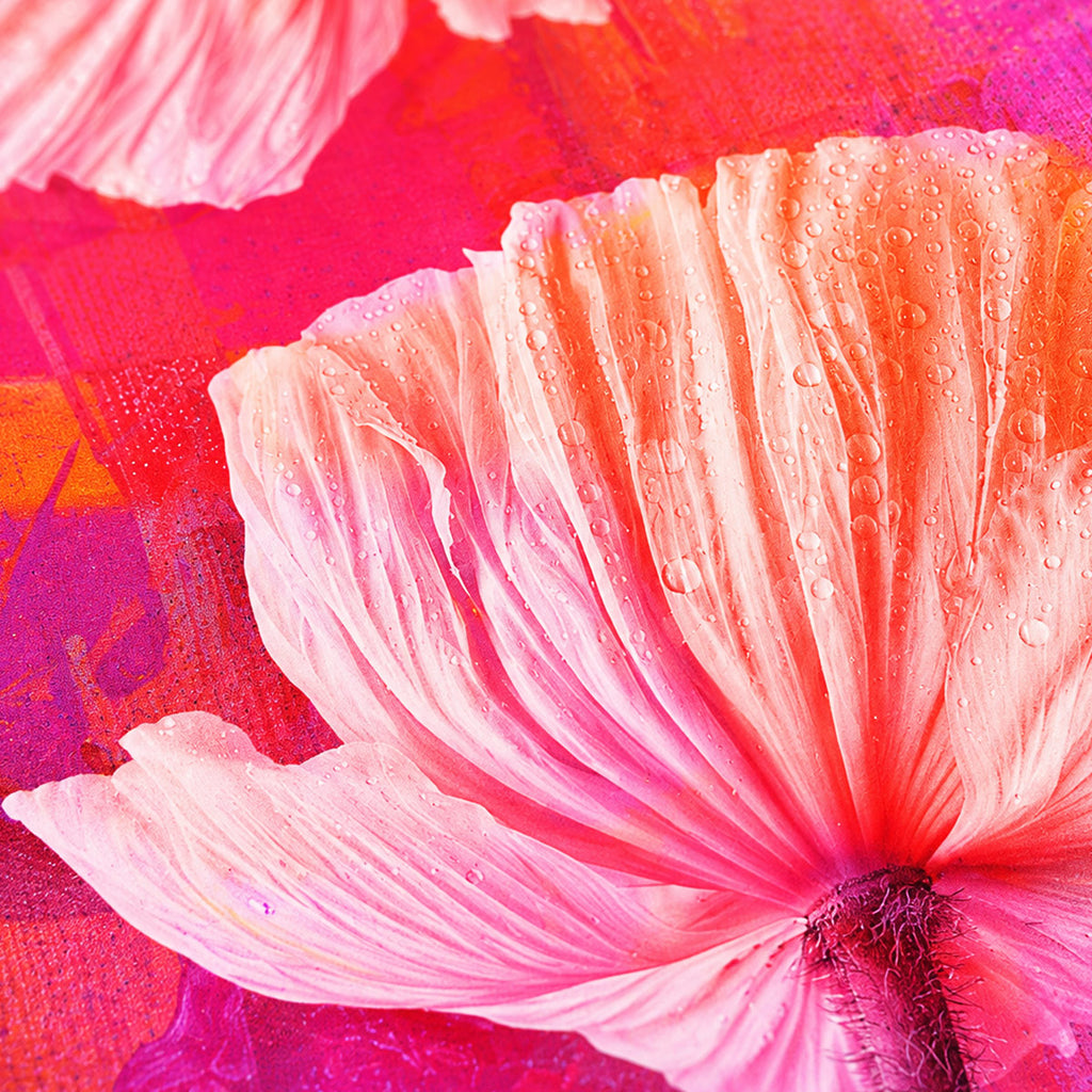 Urban Bloom