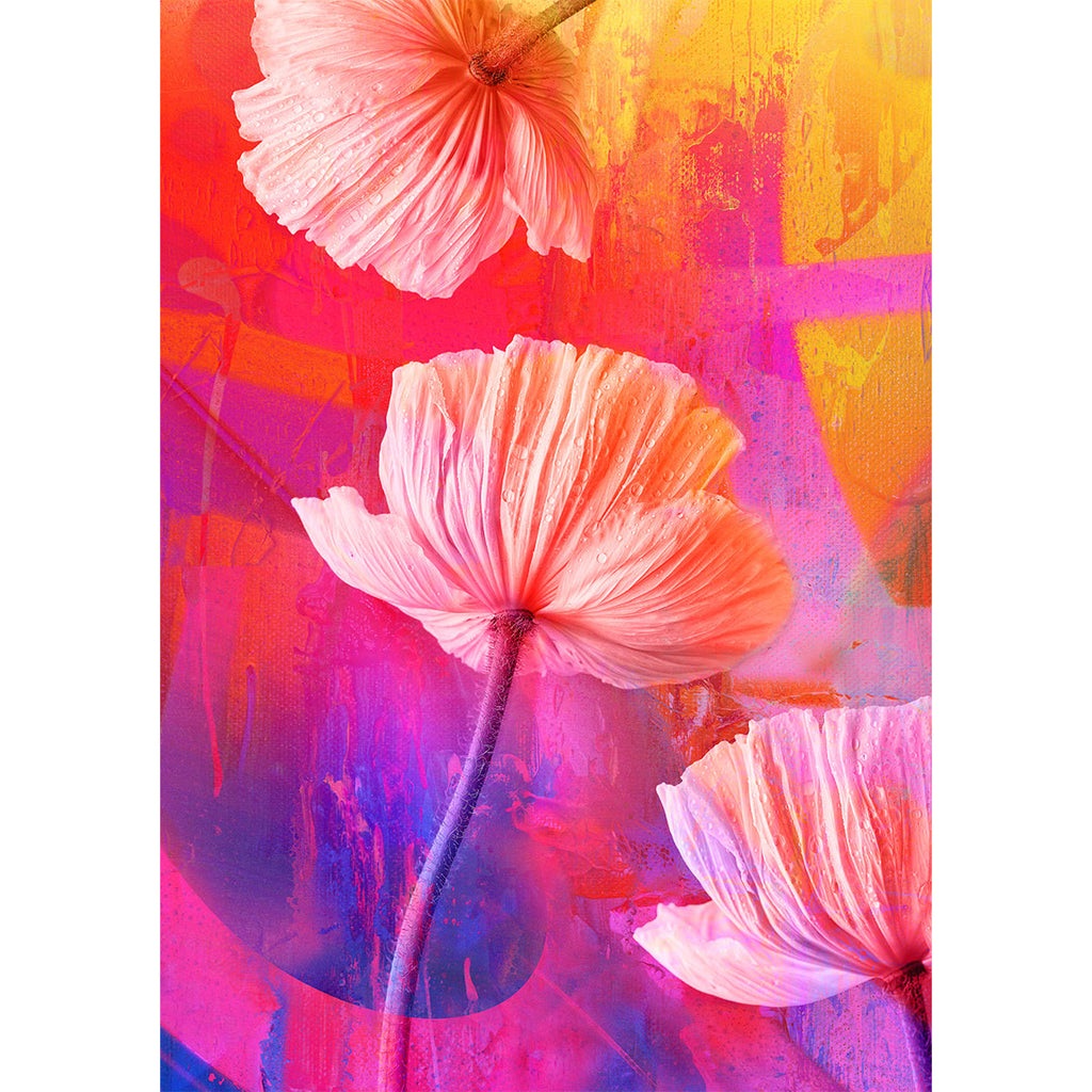 Urban Bloom