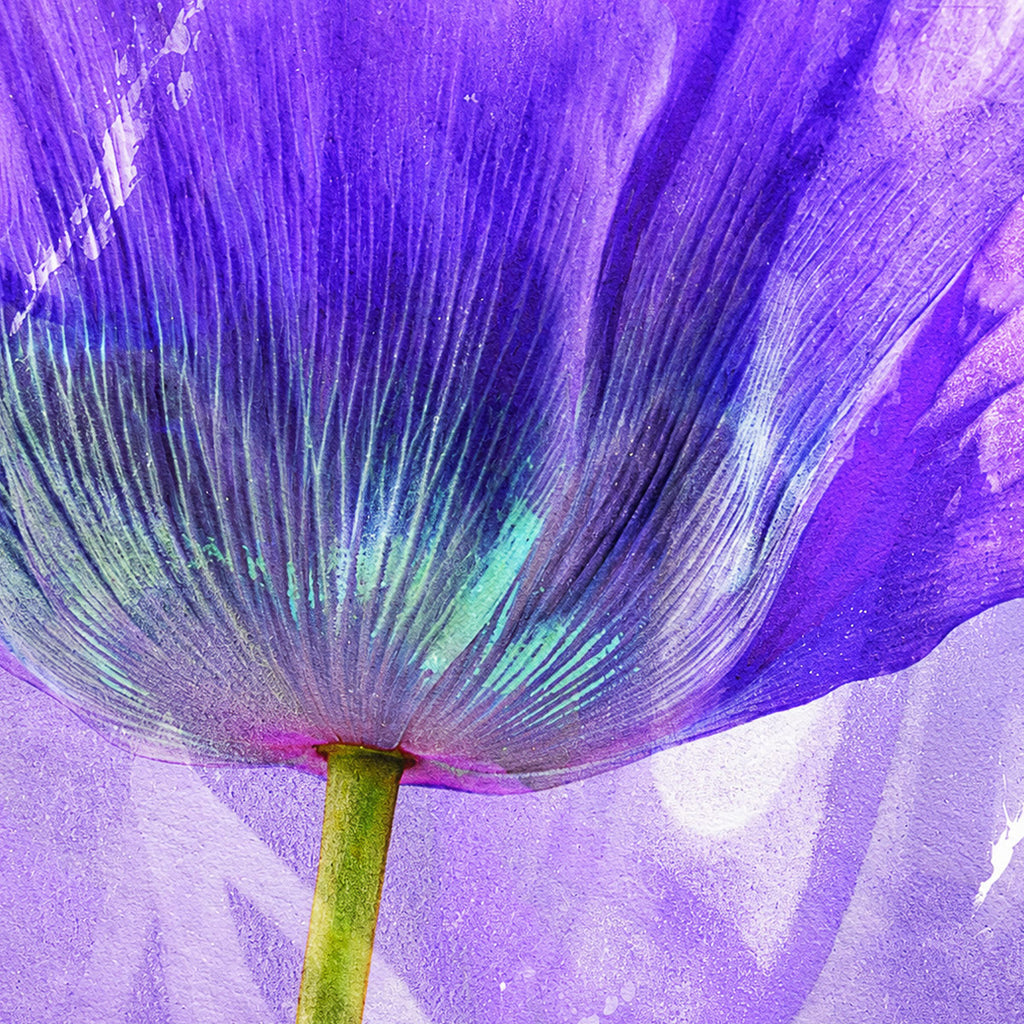 Purple Flower