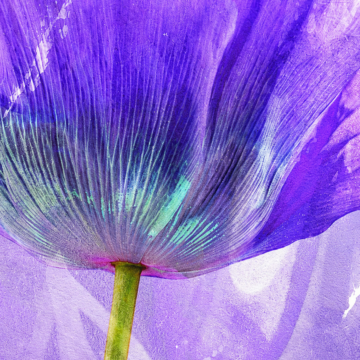 Purple Flower