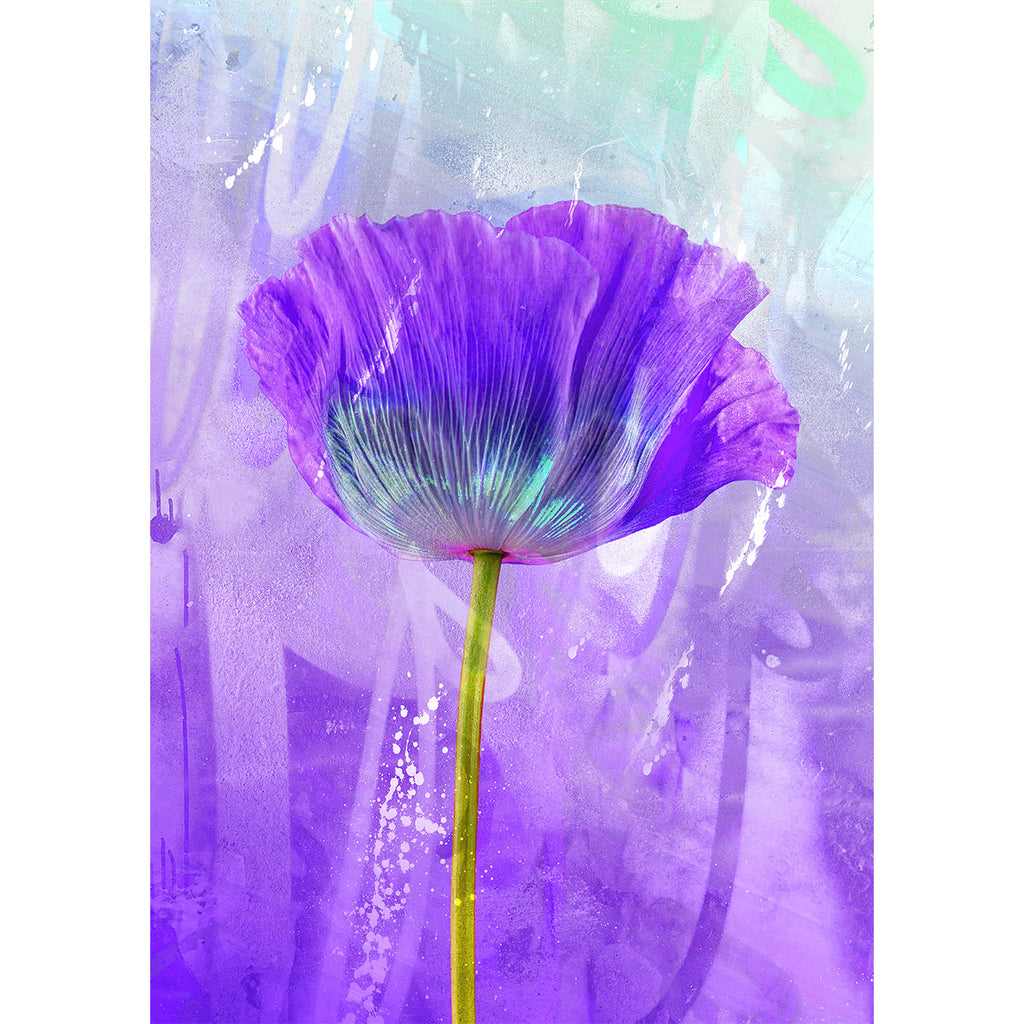 Purple Flower