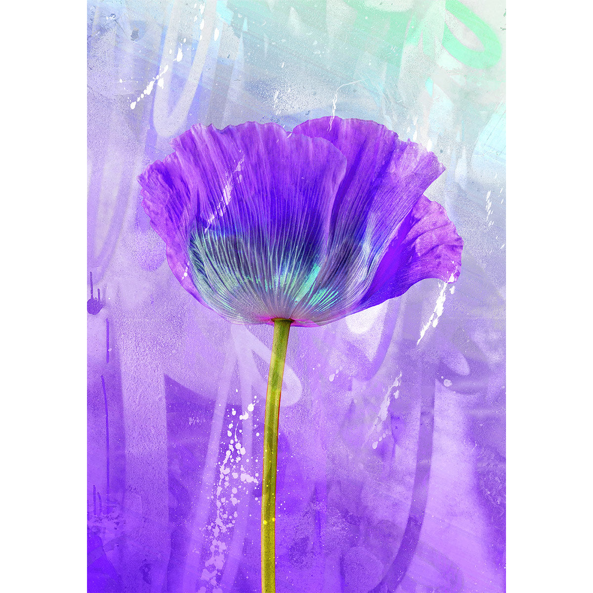 Purple Flower