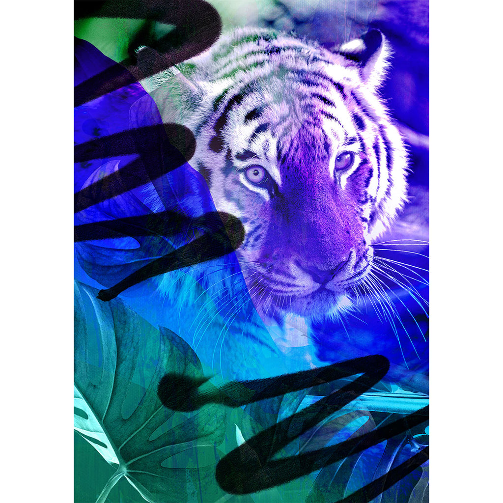 Purple Tiger